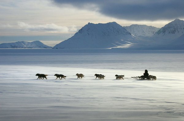 Чукотка тундра