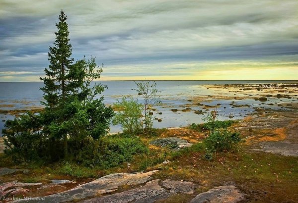 Карельский берег белого моря
