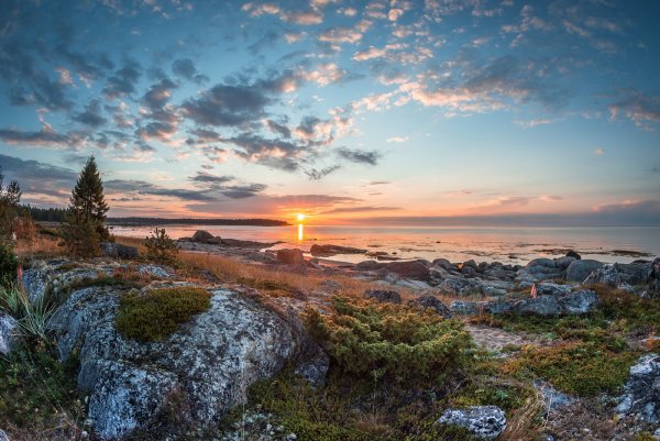 Берег белого моря Архангельская область