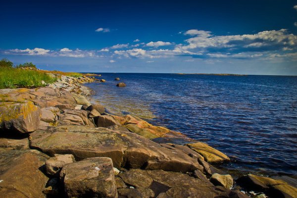 Гандвик белое море