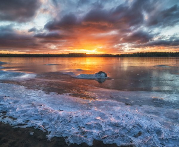 Архангельск берег белого моря