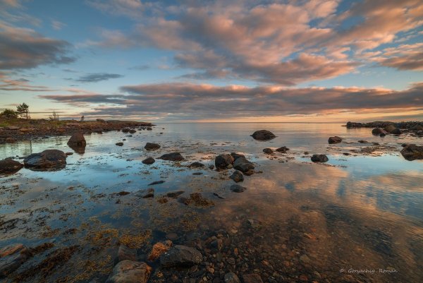 Архангельск берег белого моря