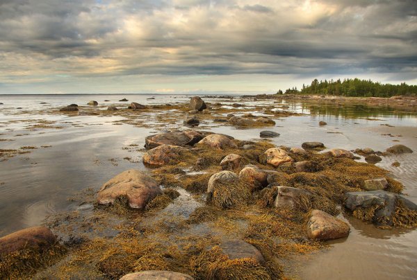 Пейзажи Архангельской области белое море