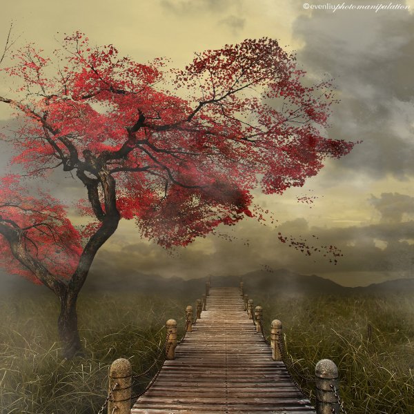 Картины Яцек Йерка сюрреализм