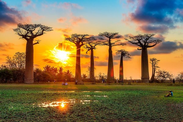 Африка остров Мадагаскар