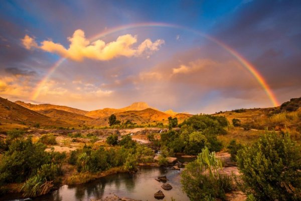 Мадагаскар остров природа