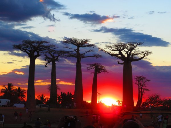 Мадагаскар Страна Африки