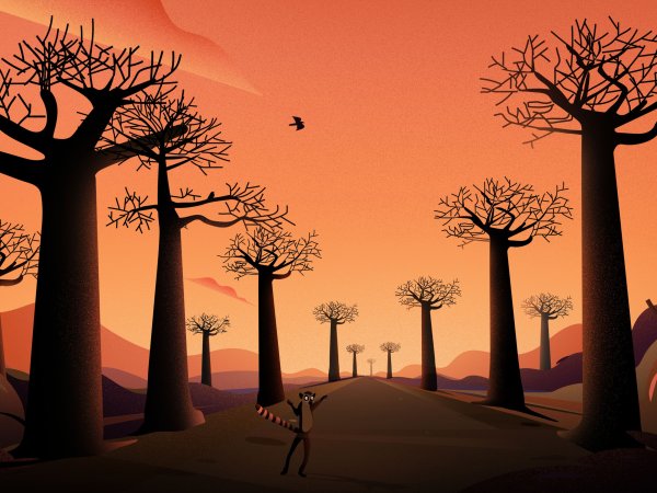 Мадагаскар мультик пейзаж