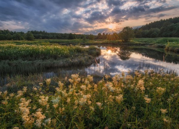 Природа Ярославской области