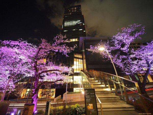 Токио джамии, Токио, Япония.