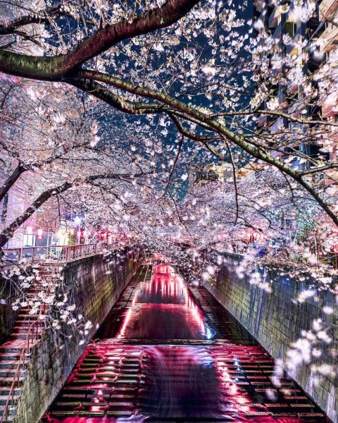 Аниме Токийский гуль город