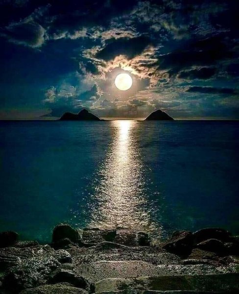 Лунная ночь