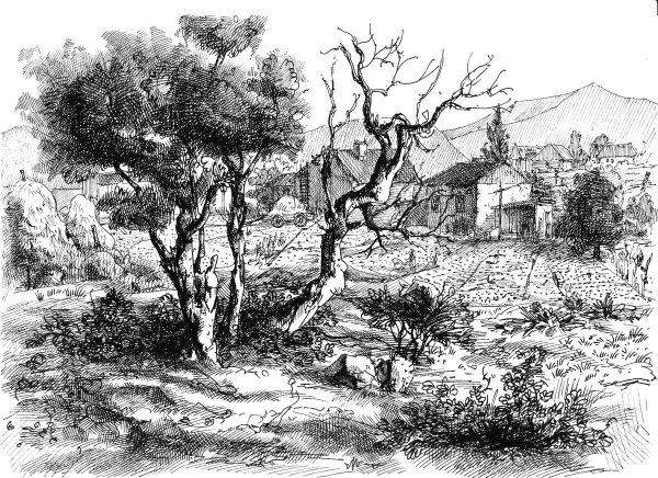 Фактура Графика