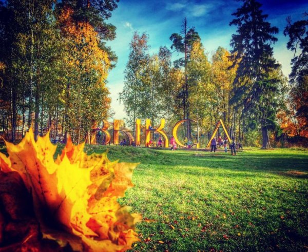 Природа города Выкса