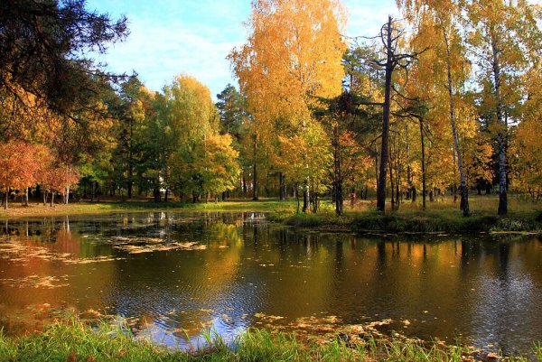 Природа города Выкса