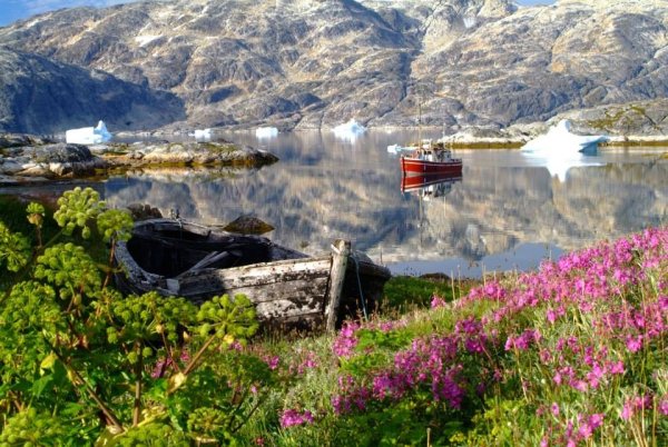 Владимир Кушнарев фотограф