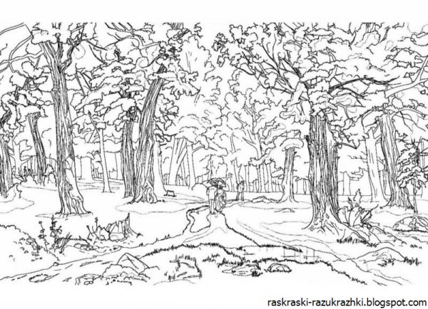 Раскраска осенний лес