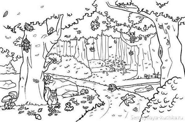 Раскраска "сказочный лес"