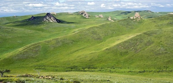«Ландшафты Даурии» (Даурский заповедник)