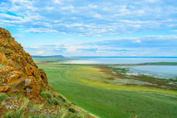 Даурский заповедник озера Забайкальского края