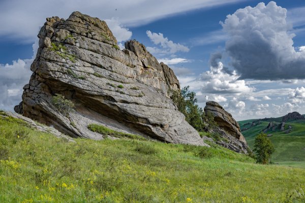 Даурский заповедник Забайкальского края