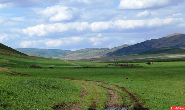 Ландшафты Даурии