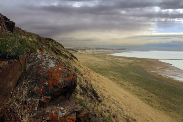 Ландшафты Даурии