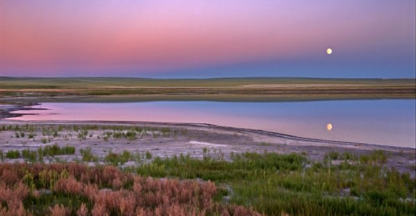 Даурский заповедник Забайкальского края
