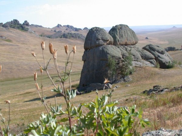 Заповедник Даурия Забайкальский край
