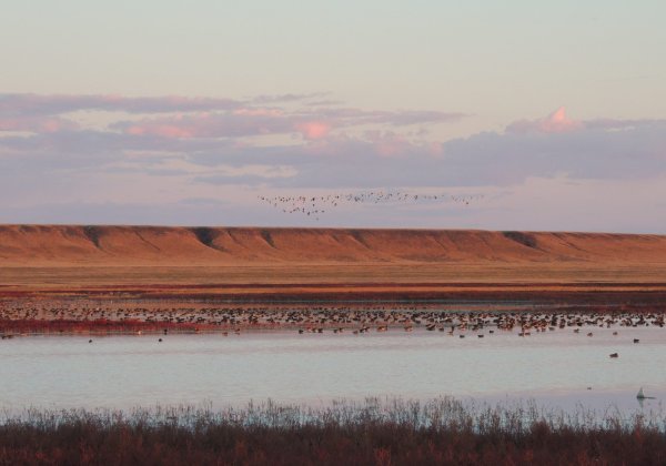Ландшафты Даурии ЮНЕСКО