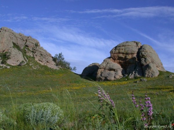 Даурия Забайкальский край ландшафт