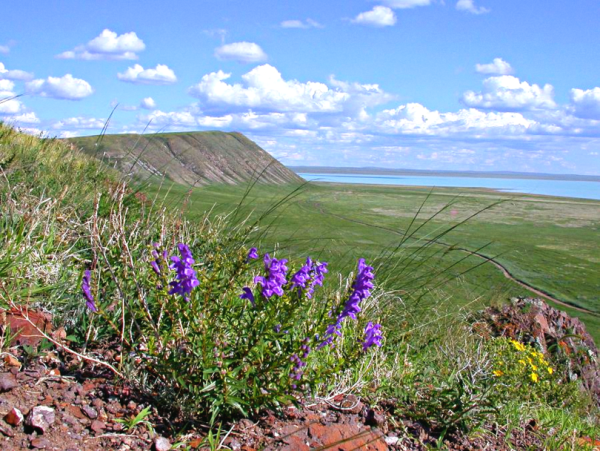 «Ландшафты Даурии» (Даурский заповедник)