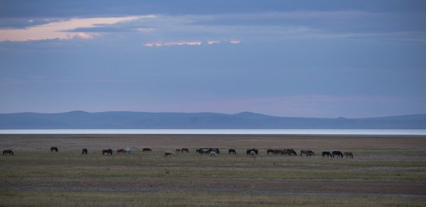 Степи Даурии ЮНЕСКО