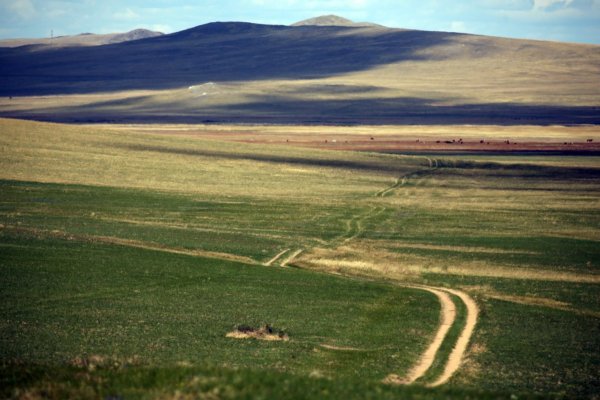Забайкалье Даурский заповедник