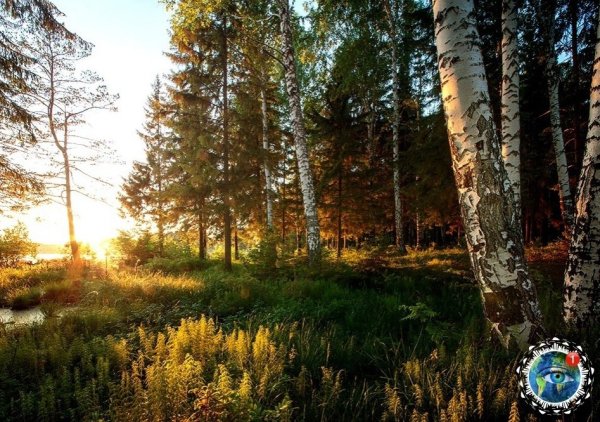 Природа Урала Лесной Свердловская