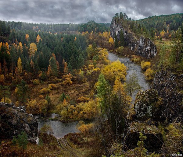 Река Талица Свердловская область