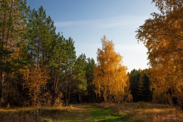 Город Лесной Свердловской области осень
