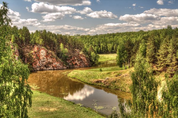 Лес Каменск Уральский