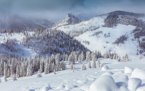 Зимний пейзаж для детей