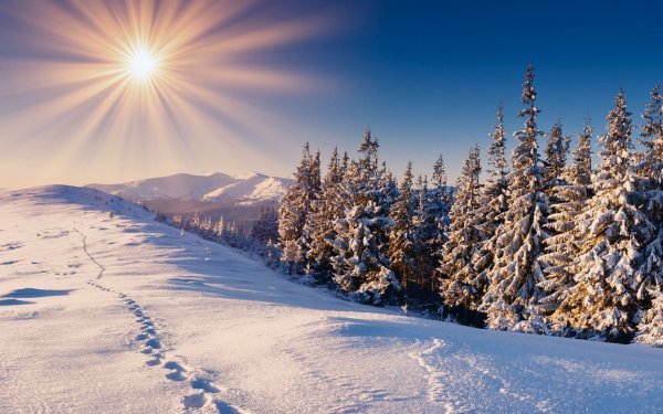 Батик монотипия