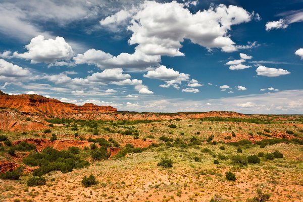 Южный Техас