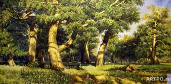 Дубрава деревья дубовой лес