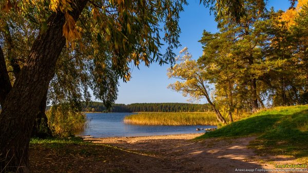 Озеро Селигер осенью