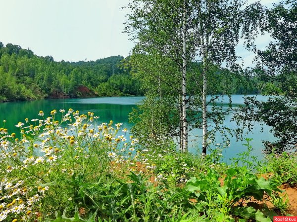 Щрилёв Михаил Николаевич картины