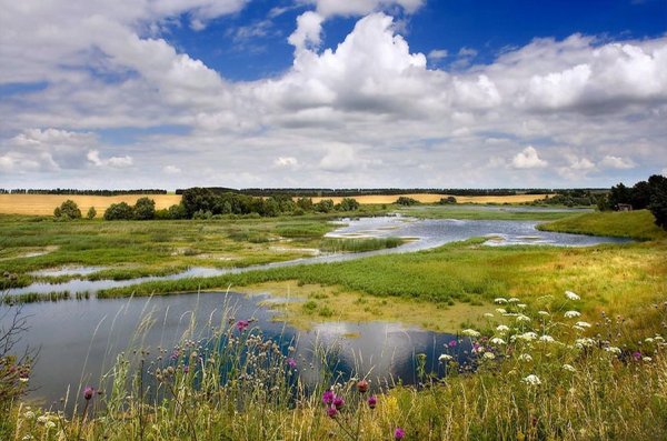 Акварельные пейзажи Андрияки река