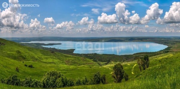 Художник Владимир Бжезовский картины