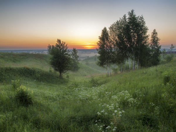 Художник Былич Александр Леонидович