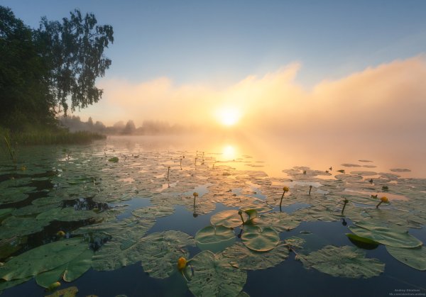 Красивый утренний рассвет