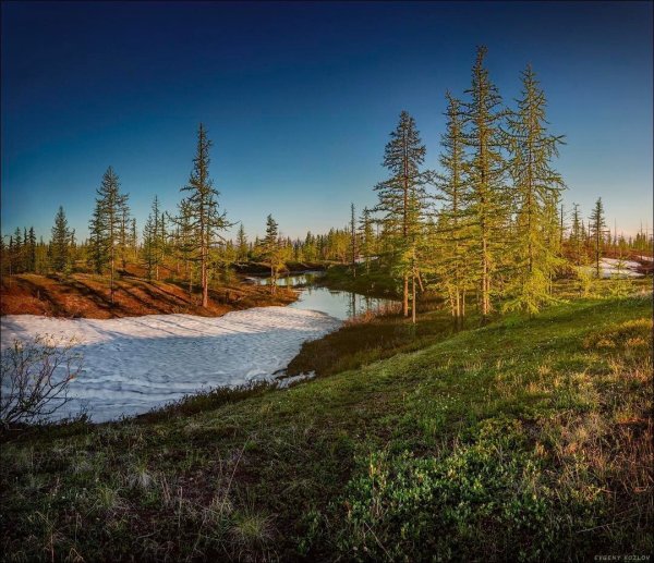 Осень Таймыр Норильск