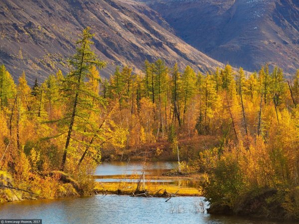 Осень в Норильске